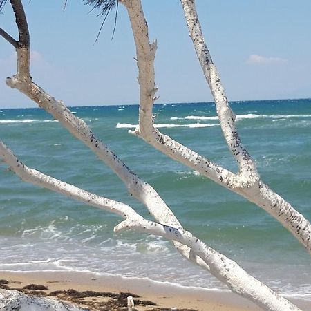 Perea White Suites Περαία Εξωτερικό φωτογραφία