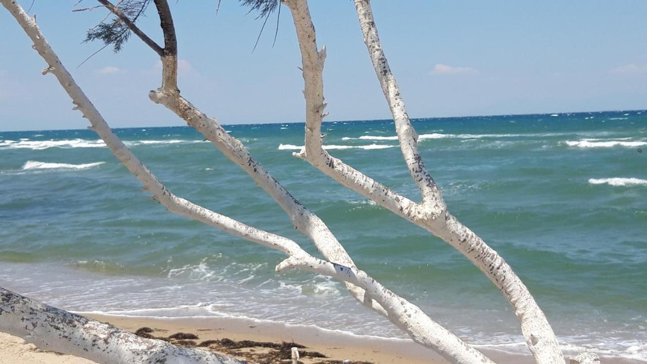 Perea White Suites Περαία Εξωτερικό φωτογραφία